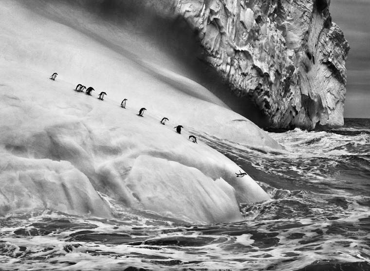 Isole South Sandwich, 2009  © Sebastião Salgado/Amazonas Images/Contrasto